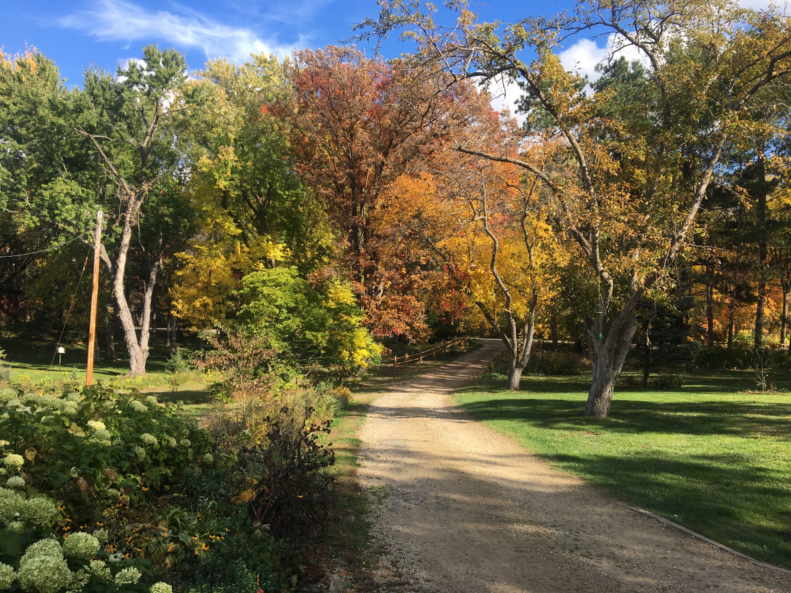 Old gravel driveway