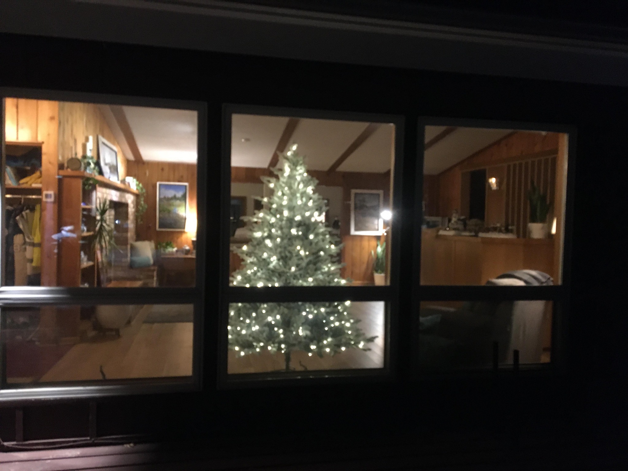 View of Keith Steven's Christmas tree from the window outside of his house.
